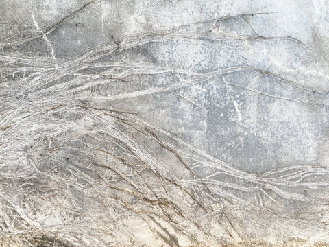 Natural ivy root marks on grey concrete wall