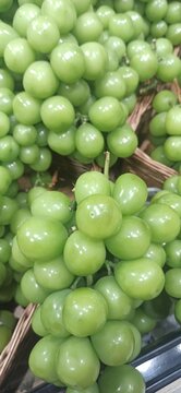 Bunches of giant jade grapes Shine Muscat in baskets. Close-up of a fruit display case.