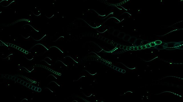 Particle trails animation flows with organic wave trajectories. Generative algorithmic physics calculations shape particle trails animation. Creative video studios use trails.