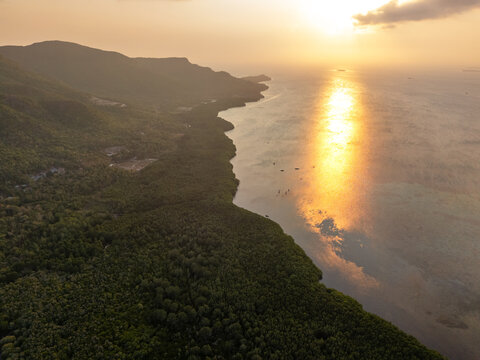 Aerial view of the lush mangrove forest along the coastline at sunset with golden light reflecting on the sea in Jepara Regency, Central Java, Indonesia.