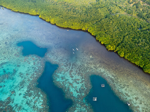 Aerial view of Menara Pandang Hutan Mangrove Karimunjawa with lush mangrove forest, vibrant coral reefs, and clear turquoise waters in Jepara Regency, Central Java, Indonesia.