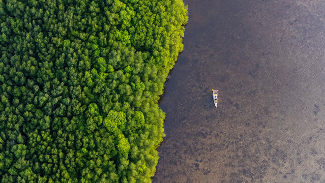 Aerial view of the Menara Pandang Hutan Mangrove Karimunjawa surrounded by dense green mangrove forest and clear water with a small boat in Jepara Regency, Central Java, Indonesia.