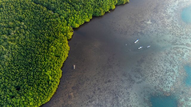 Aerial view of the lush mangrove forest in Karimunjawa with small traditional boats floating in the clear shallow waters of the bay, Jepara Regency, Central Java, Indonesia.