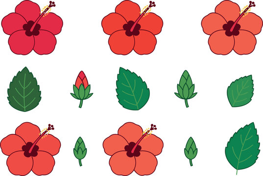 Hand drawn red hibiscus flower vector element set with isolated green leaves and buds on white background for tropical summer design templates