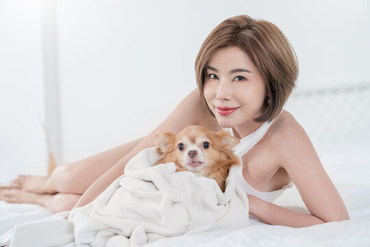 Portrait of happy short hair asian woman lying on bed with small dog, showing companionship, comfort, and cozy home lifestyle with pet. Modern minimal single dog lover.