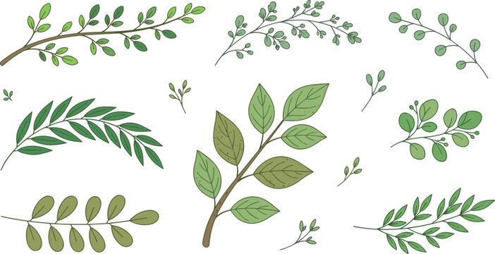 PrintHand drawn green leaf and branch vector element set isolated on white background for wedding invitation design template and organic branding