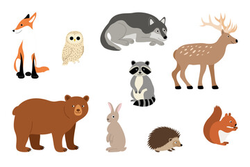 Obraz premium Woodland Forest Animals Set Cute Fox, Owl, Wolf, Deer, Bear, Rabbit, Hedgehog, Raccoon and Squirrel Cartoon Illustrations