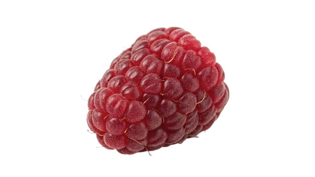 Single fresh ripe sweet red raspberry berry isolated on transparent background