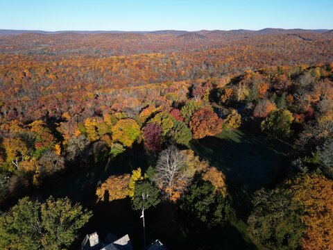 Aerial view of a vibrant autumn forest with dense trees displaying colorful fall foliage under a clear blue sky in New Jersey, United States.