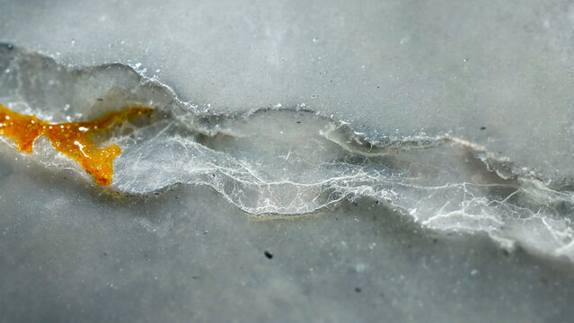 Macro view of self-healing material with polymer resin crack