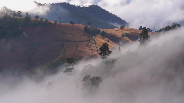 Time Laps of beautiful landscape scenery of a sea of mist in the morning, movement of the fog covering the Mountain. The travel destination natural of Mae Chaem, Chiang Mai, Thailand.