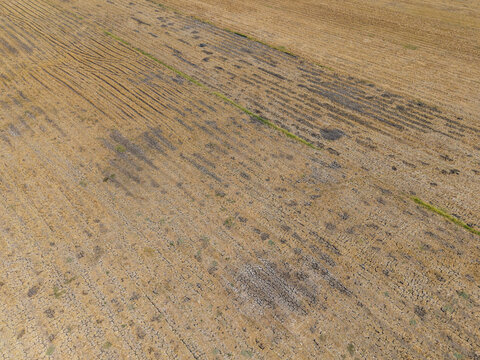 Aerial view of a drought-affected rice field with cracked dry soil and parched earth in Wedung, Central Java, Indonesia.