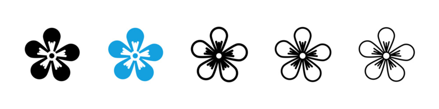 Hypericum icon flat outline in black
