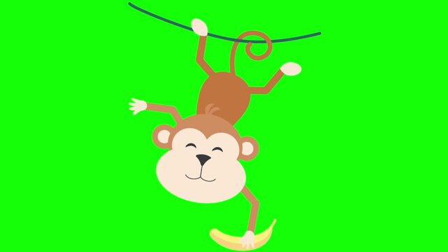 Cute cartoon monkey hanging upside down from a vine holding a yellow banana on white background