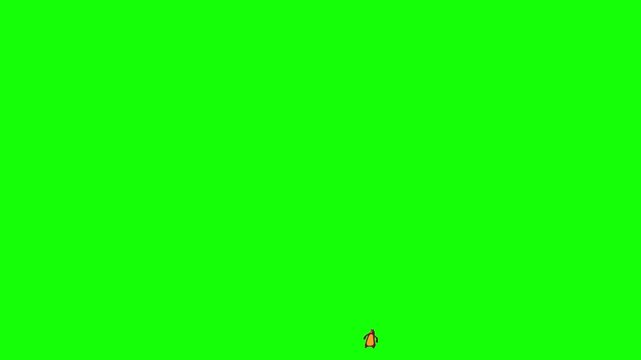 Funny dancing cartoon bear character animation video clip isolated on white background