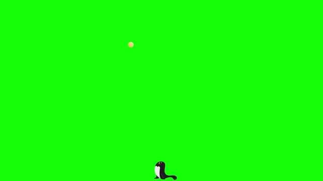 Cute cartoon sea lion balancing a yellow ball with its nose on white background