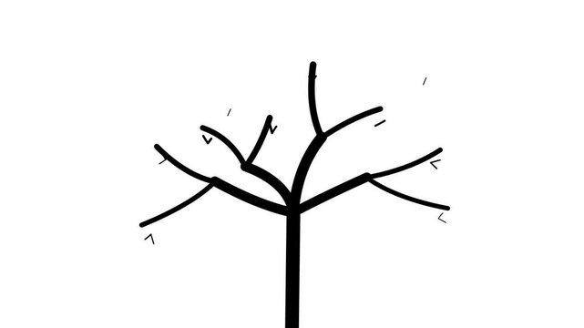2D motion graphic of a black leafless tree silhouette growing its branches on a white background. Great for concepts of life, seasons, or family trees.
