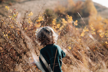 Naklejka premium Rear view of a little girl with curly hair picking rose hips from a wild rose bush on an autumn hillside.