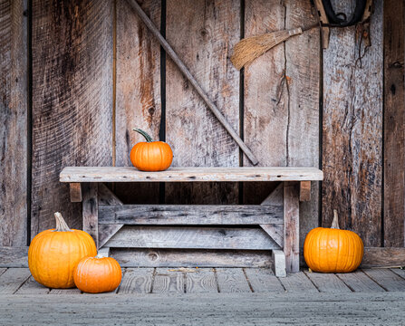 Image from the Walden Pumpkin Farm at Halloween, Smyrna, Tennessee.October 2017