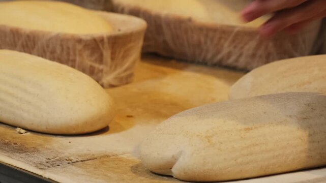 Worker hands turn over proofing baskets to place bread onto oven tray closeup. Skilled baker works with unbaked wheat buns in craft shop
