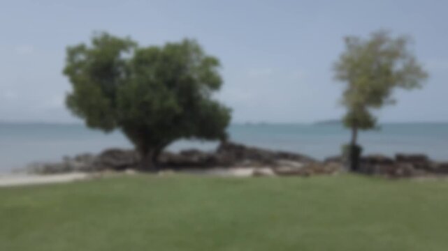 tropical natural landscape view of beach sea with green lawn on the beach under sunny sunshine daytime, green lawn near white beach sand sea in Samed Thailand in sunny summer day