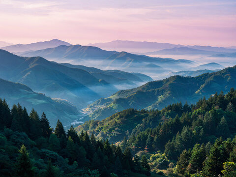 Layered mountain ranges and forests at dawn