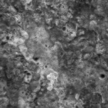 4K Seamless Alien Terrain Displacement Texture for Sci-Fi Environments