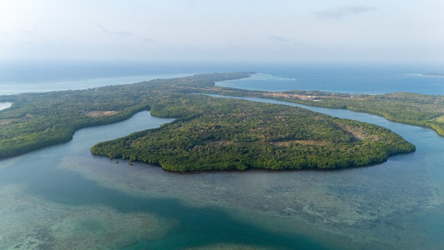 Aerial view of the lush mangrove forest on an island in Karimunjawa, surrounded by clear turquoise waters and coral reefs in Jepara Regency, Central Java, Indonesia.