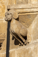 Medieval stone corbel as dog animal figure on facade of 14th century Old Town Hall on Main Square, Bratislava, Slovakia © mychadre77