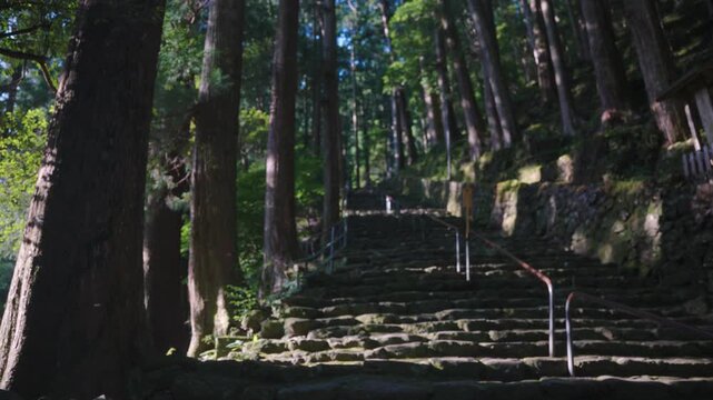Stone Steps for Pilgrimage at Nachi Falls Through Forest, Background