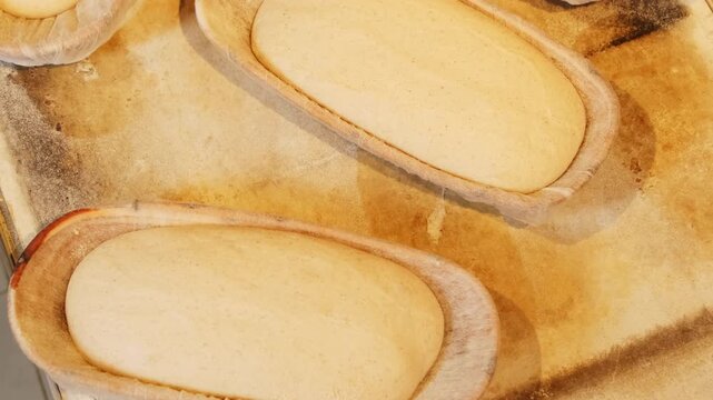 Baker hands places proofing baskets with dough onto tray closeup. Employee arranges uncooked sourdough bread loaves in craft bakery upper view
