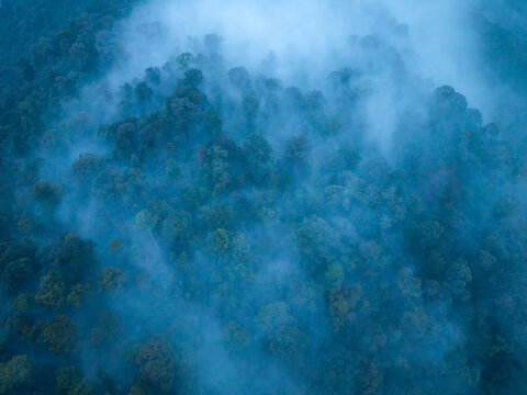 Aerial view of a misty tropical forest during the late evening with dense tree canopies and low-hanging clouds over the landscape in Bukit Mertajam, Penang, Malaysia.