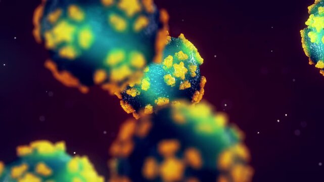 Infectious poliovirus virions invade central nervous system pathways to target motor neurons. Inflammation of the neural pathways interrupts motor signals and causes acute flaccid paralysis.