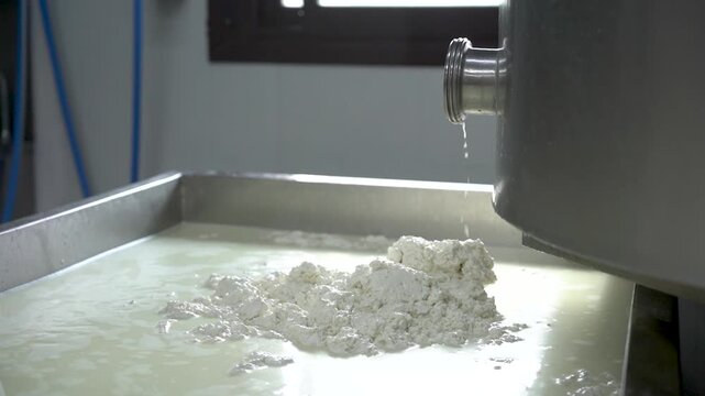 close up of curd and whey falling from aluminum tank mixer during cheese preparation in dairy plant cheese making
