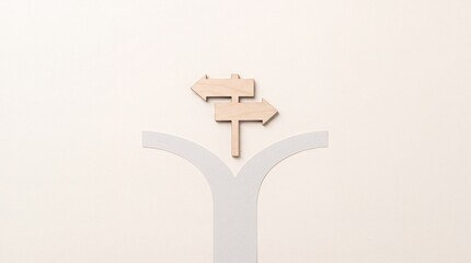 Fototapeta premium Conceptual top down view of a wooden directional signpost at a fork in the road representing business decision making, life choices, and career path navigation on a neutral background.