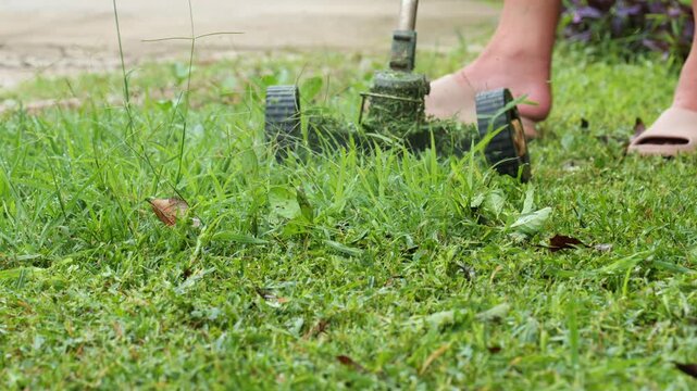 Small Electric Lawn Mower with Tank Tracks Cutting Grass in Garden	