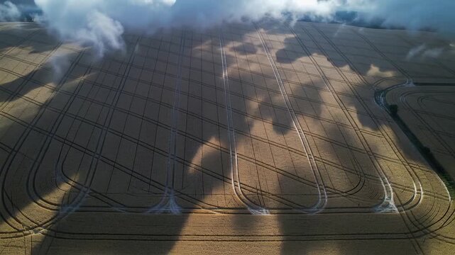 Gliding shadows cast by drifting clouds sweeping over ripe wheat field tracing tramline hedge ditch