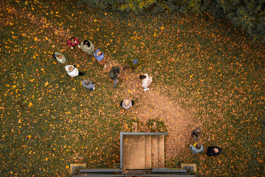 Group of senior adults gathered on autumn forest path viewed from above
