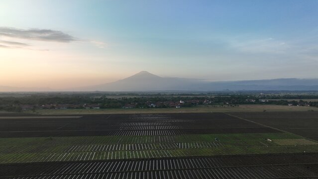 Aerial view of agricultural fields and rural landscape with a distant volcano under a soft sunset sky, Kertajati, West Java, Indonesia.