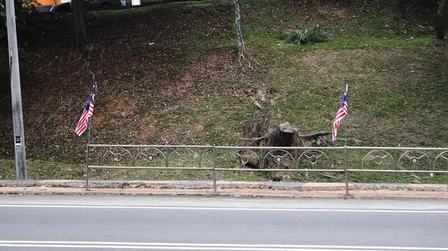 Two Malaysian flags displayed roadside, adjacent to a metal fence and a grassy embankment with trees