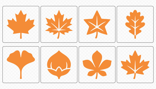 Fall Leaves Acorn Mushroom and Nature Icon Collection