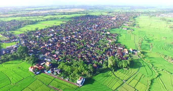 Rice Paddies mixing with encroaching suburbs in Denpasar Sanur
