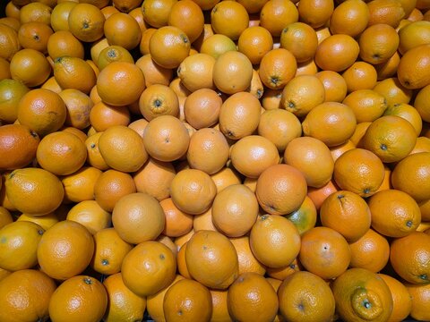 fresh yellow dates on the market