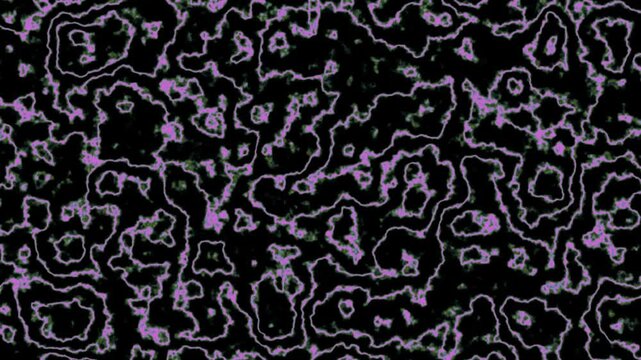 Intricate looping pattern of purple and white cellular structures against a black background