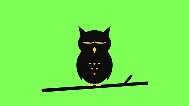 Black owl on a branch tilting its head, looking around and blinking big yellow eyes on green screen. Halloween seamless loop, flat vector cartoon, chroma key, Full HD.