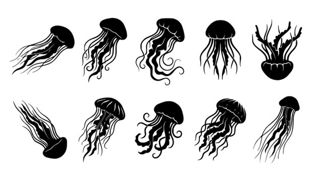 Dynamic Jellyfish Swimming Silhouette Collection in Black and White with Curved Tentacles and Varied Ocean Life Poses