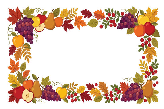 Decorative autumn harvest border with colorful fall leaves grapes pumpkins and apples on a white background