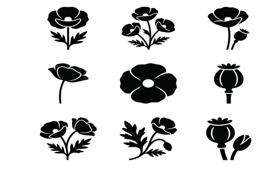 Set of black poppy flower icons and botanical elements isolated on a white background for graphic design