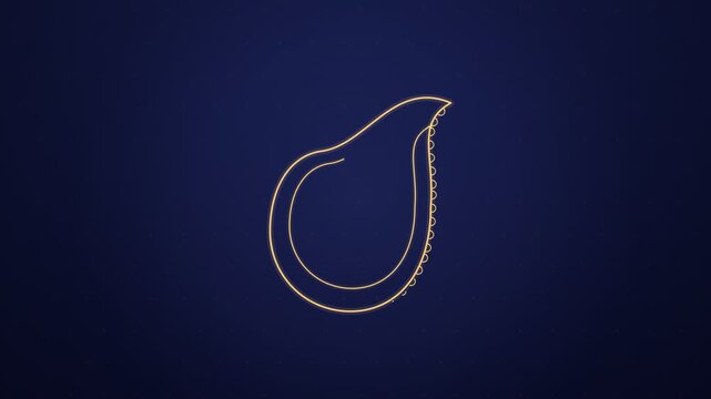Paisley Ornament Textile Print Drawing and Unfolding Animation