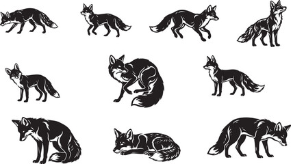 Obraz premium Foxes vector illustration set for wildlife branding and editorial use